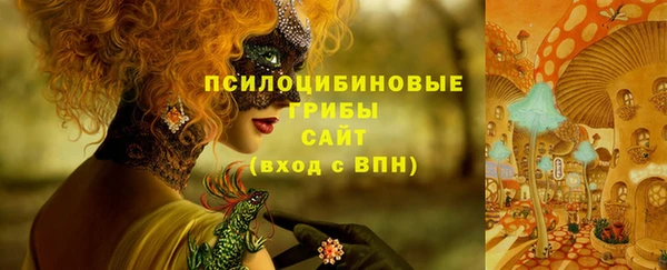 спиды Саяногорск