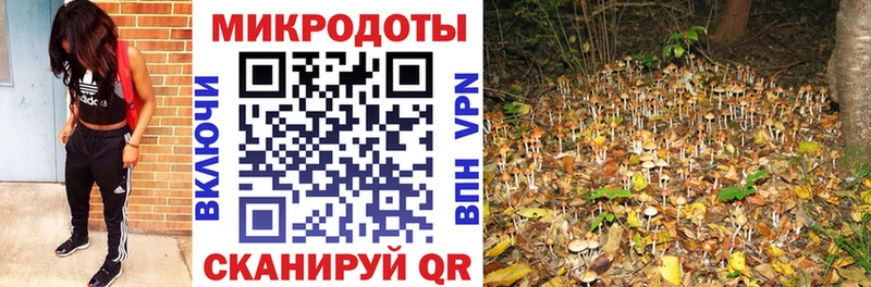 где найти наркотики  Гудермес  Галлюциногенные грибы мухоморы 